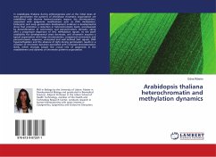 Arabidopsis thaliana heterochromatin and methylation dynamics