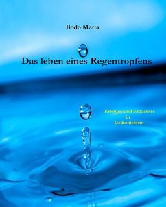 Das Leben eines Regentropfens (eBook, ePUB) - Maria, Bodo