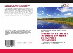 Producción de jarabes invertidos por medio de invertasa inmovilizada - Santiago Hernández, José Alejandro;Plascencia, Miguel A.;Hidalgo L., Eugenia