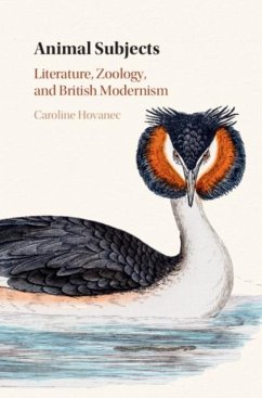 Cover Animal Subjects: Volume 1 (eBook, PDF)