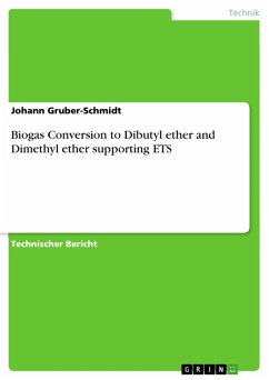 Biogas Conversion to Dibutyl ether and Dimethyl ether supporting ETS (eBook, PDF)