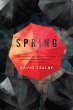Spring (eBook, ePUB) - Bild 1