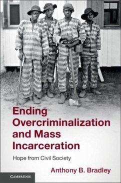 Cover Ending Overcriminalization and Mass Incarceration (eBook, PDF)