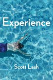 Experience (eBook, ePUB)