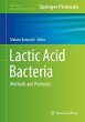 Lactic Acid Bacteria - Bild 1