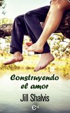 Construyendo el amor (eBook, ePUB)