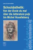 Schockästhetik: Von der Ecole du mal über die letteratura pulp bis Michel Houellebecq (eBook, ePUB)
