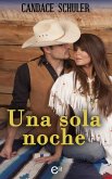 Una sola noche (eBook, ePUB)
