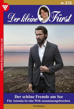 Der schöne Fremde am See (eBook, ePUB) - Maybach, Viola