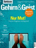 Gehirn&Geist 9/2018 Nur Mut! (eBook, PDF)