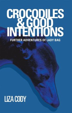Crocodiles & Good Intentions (eBook, ePUB)