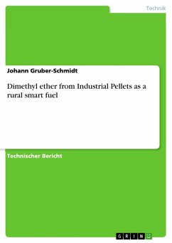 Dimethyl ether from Industrial Pellets as a rural smart fuel