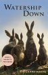 Watership Down - Bild 1