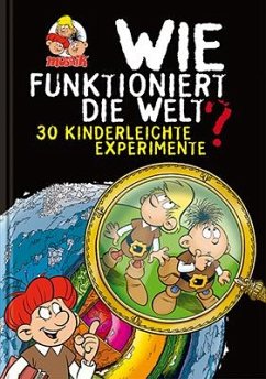 Wie funktioniert die Welt? - Werner, Axel