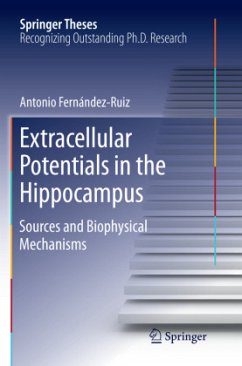 Extracellular Potentials in the Hippocampus - Fernández Ruiz, Antonio