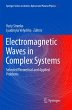 Electromagnetic Waves in Complex Systems - Bild 1