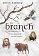 The Branch - Bild 1