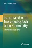 Incarcerated Youth Transitioning Back to the Community (eBook, PDF)