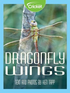 Cover Dragonfly Wings (eBook, PDF)