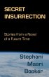 Secret Insurrection: Stories from a... - Bild 1