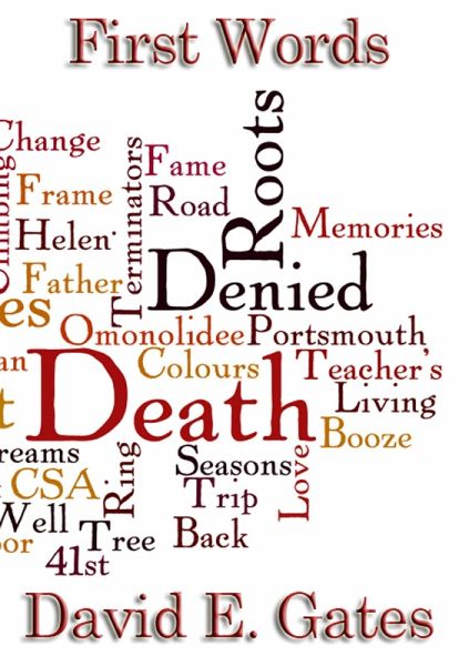 First Words (eBook, ePUB)