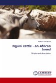 Nguni cattle - an African breed