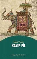 Kayip Dil - Twain, Mark