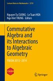 Commutative Algebra and its Interactions to Algebraic Geometry (eBook, PDF)