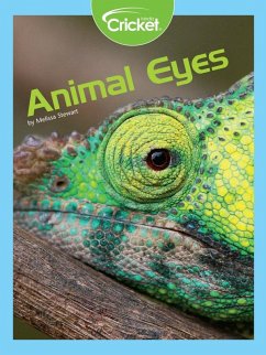 Cover Animal Eyes (eBook, PDF)