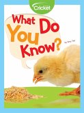 What Do You Know? (eBook, PDF) What Do You Know? (eBook, PDF)