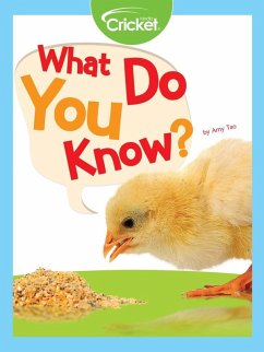 What Do You Know? (eBook, PDF) - Tao, Amy