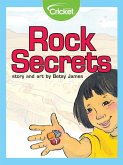 Rock Secrets (eBook, PDF)