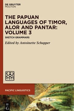 The Papuan Languages of Timor, Alor and Pantar. Volume 3