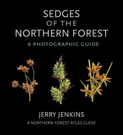 Sedges of the Northern Forest - Jenkins, Jerry