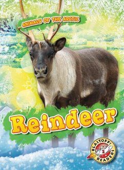 Reindeer - Pettiford, Rebecca