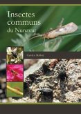 Insectes Communs Du Nunavut