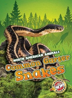 Common Garter Snakes - Sabelko, Rebecca