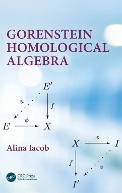 Gorenstein Homological Algebra - Iacob, Alina