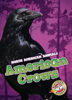 American Crows - Sabelko, Rebecca