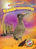 Roadrunners