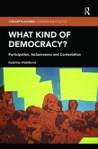 What Kind of Democracy?