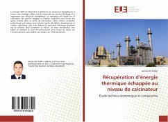 Récupération d¿énergie thermique échappée au niveau de calcinateur - Ait Oufkir, Amine