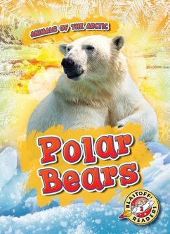 Polar Bears - Pettiford, Rebecca