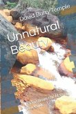 Unnatural Beauty: Poems from the Han Riverside