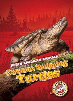 Common Snapping Turtles - Sabelko, Rebecca