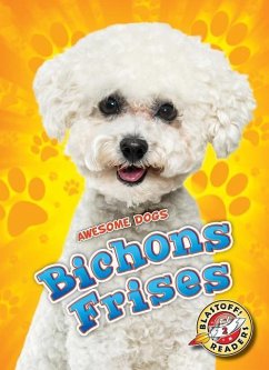 Bichons Frises - Shaffer, Lindsay