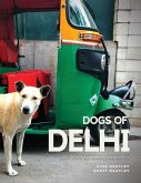 Dogs of Delhi: A photographic journey of must love metropolitan mutts