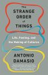 The Strange Order of Things - Bild 1