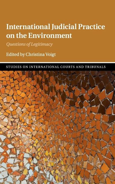 International Judicial Practice on the Environment International Judicial Practice on the Environment