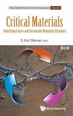 Critical Materials: Underlying Causes and Sustainable Mitigation Strategies - Offerman, S Erik